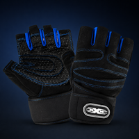 Workout Gloves
